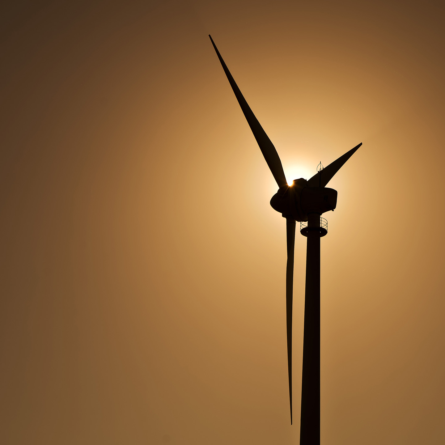 Windrad im Gegenlicht